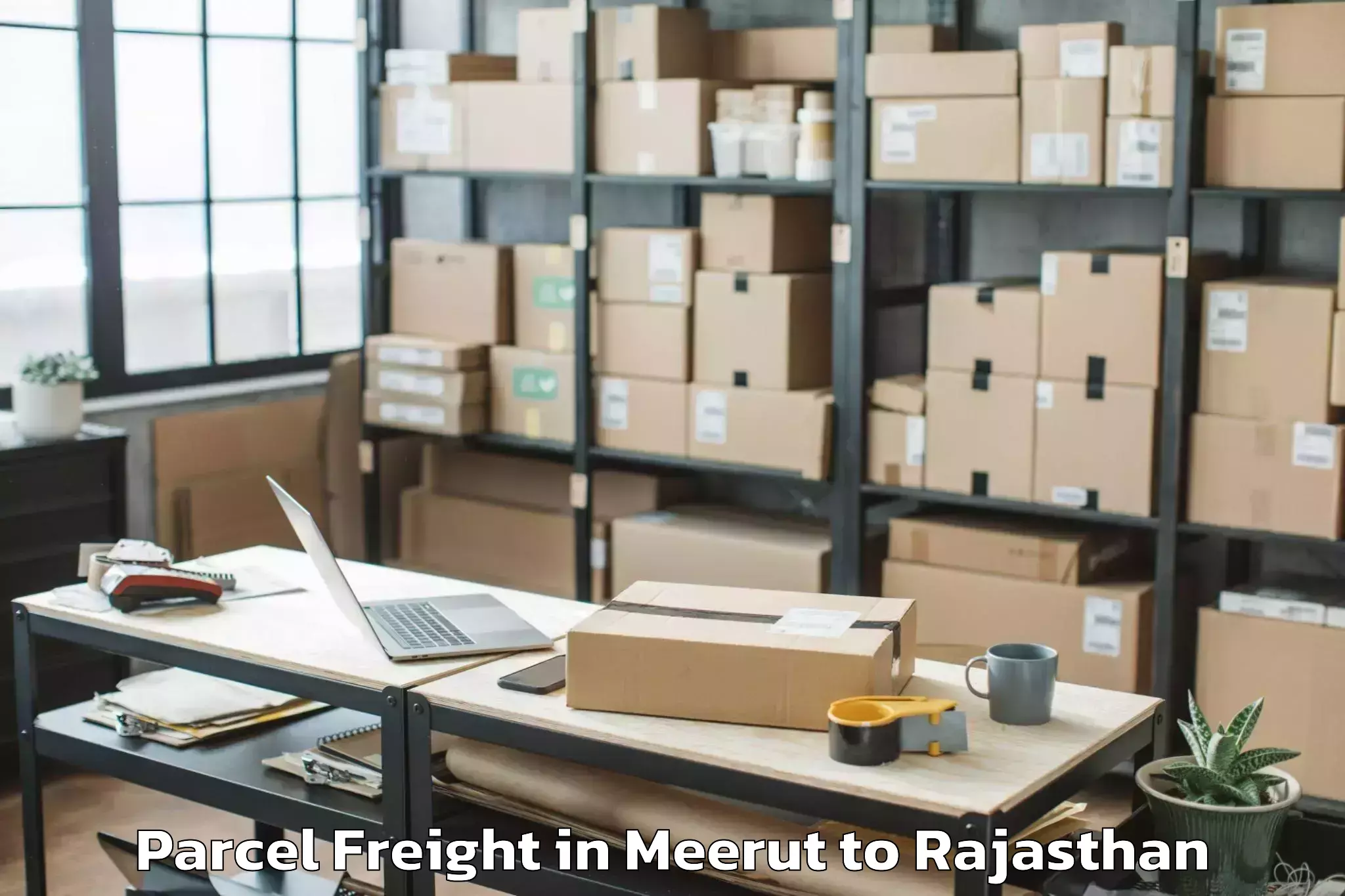 Top Meerut to Niit University Neemrana Parcel Freight Available